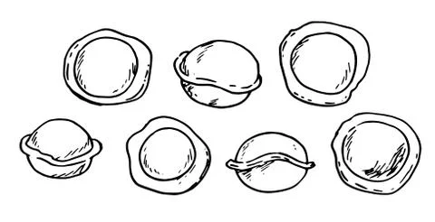 Vector set of dumplings in different angles with a black line. A simple Doodle Stock Illustration