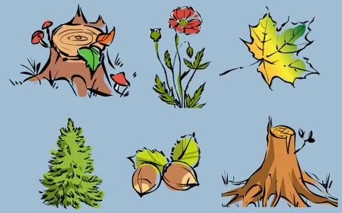 Vector set of elements of nature. Forest, trees and plants. Stock Illustration