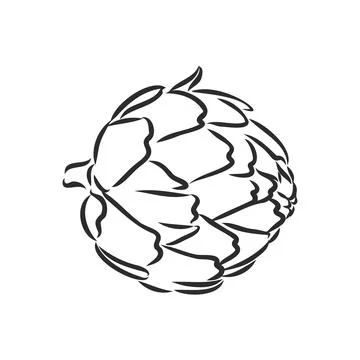 Vector set of engraving illustration green vegetables artichoke on white back Stock Illustration