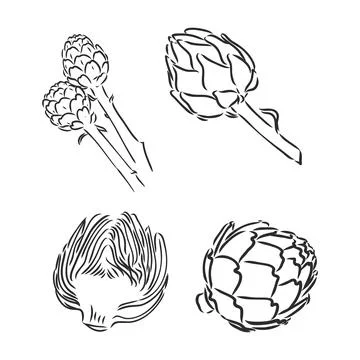 Vector set of engraving illustration green vegetables artichoke on white back Stock Illustration