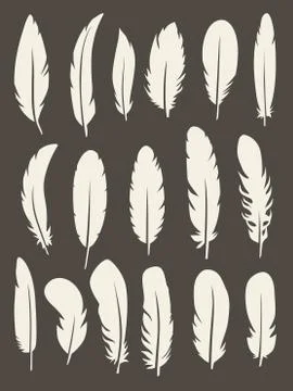 Vector set of feather Stock Illustration