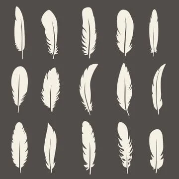 Vector set of feather Stock Illustration