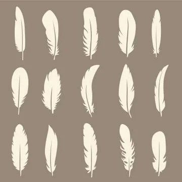 Vector set of feather 스톡 일러스트
