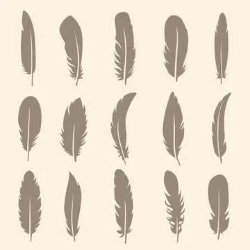 Vector set of feather Stock Illustration