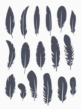 Vector set of feather イラスト素材