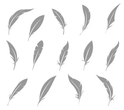 Vector set of feather. Stock Illustration