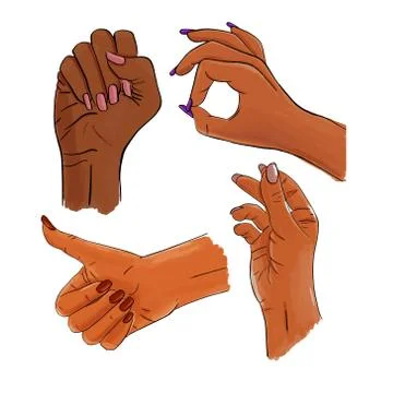 Vector set of female hands and gestures. Woman hand collection Stock Illustration