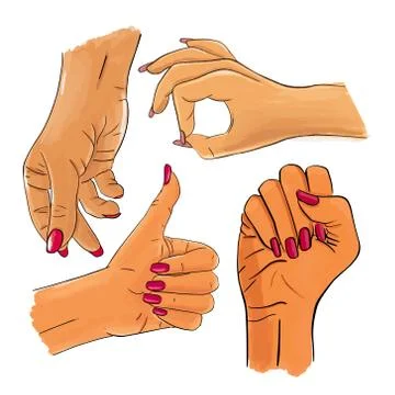 Vector set of female hands and gestures. Woman hand collection Stock Illustration