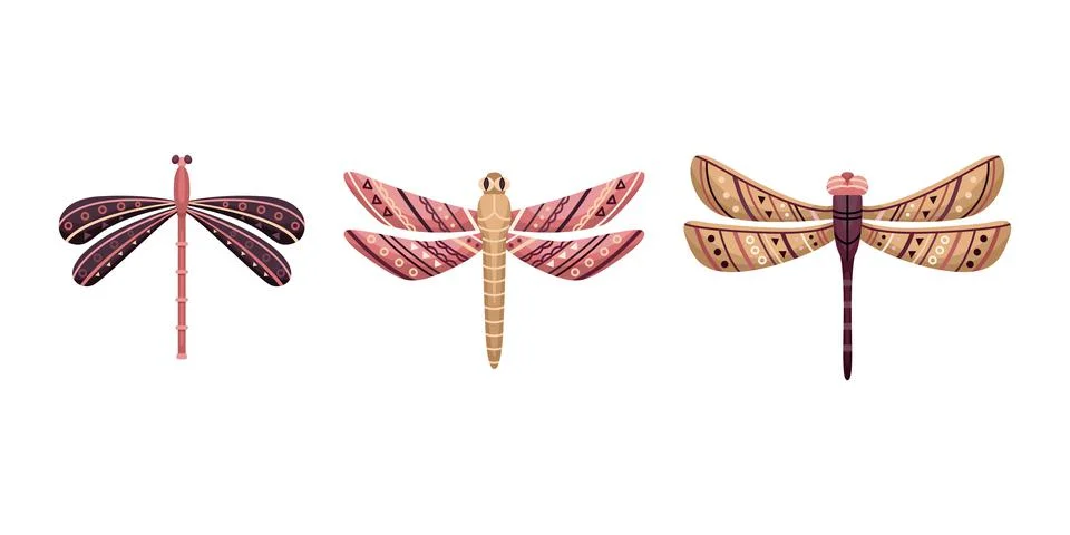 Vector set of flat dragonflies in boho style. Flat illustration. Illustrazione stock
