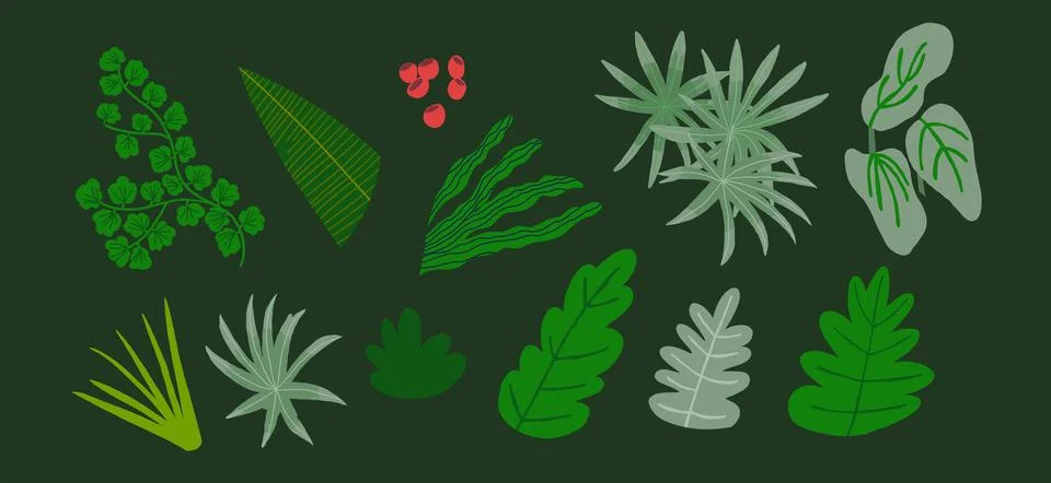 Vector set of flat illustrations of plants, trees, leaves, branches, bushes Stock Illustration