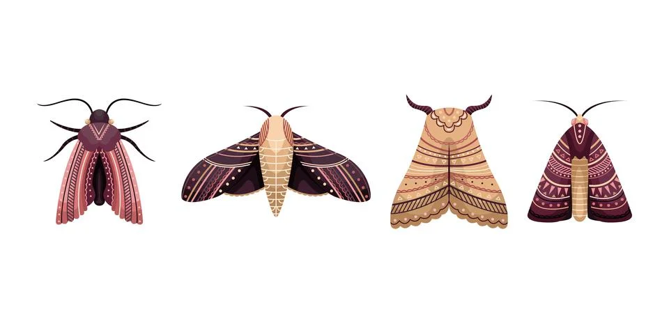 Vector set of flat moths in boho style. Flat illustration. Stock Illustration
