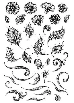 Vector set of floral elements. 스톡 일러스트