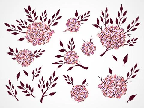 Vector set of flowers, branches and leaves. Stock Illustration