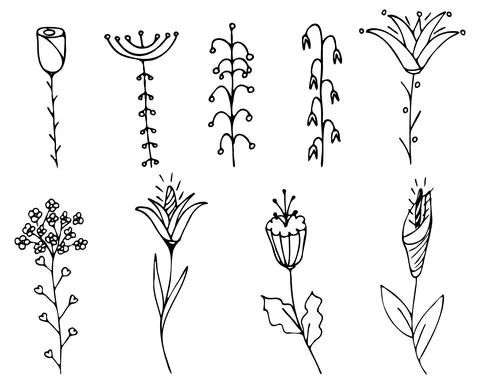 Vector set of flowers. Drawn flowers. Stock Illustration