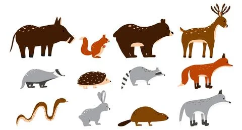 Vector set of forest animals. Stock Illustration