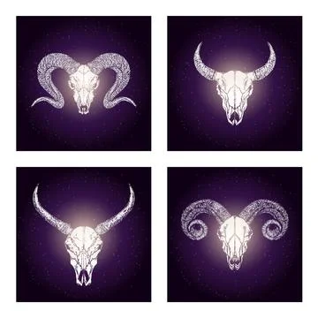 Vector set of four illustrations with hand drawn skulls wild buffalo, bull an Stock Illustration