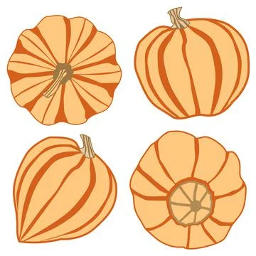 Vector set with four images of pumpkins from different angles in orange and y Stock Illustration