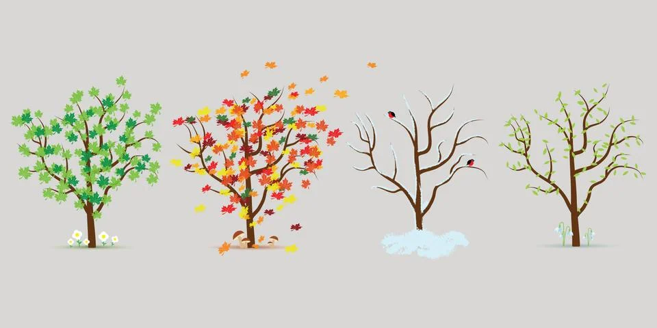 Vector set of four seasons trees. Flat design Stock Illustration