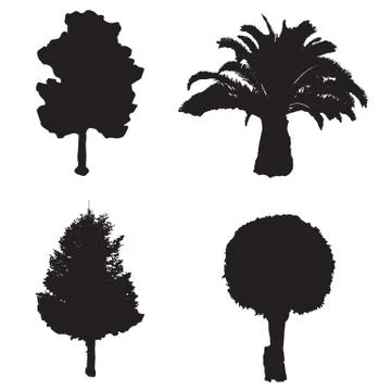 Vector set with four silhouette trees Stock Illustration
