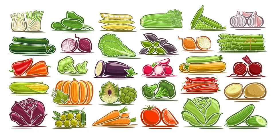 Vector set of fresh Vegetables Stock Illustration