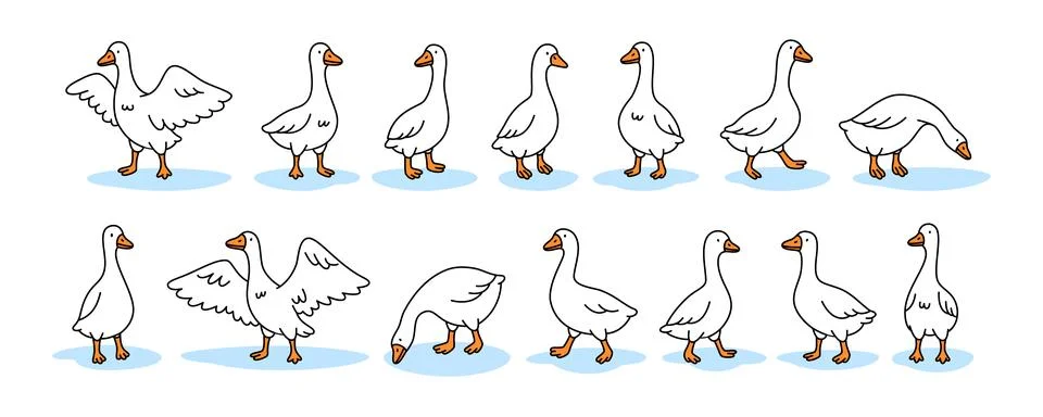 Vector set of geese. Clean outline illustration with color accents Stock Illustration