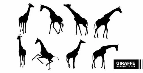 Vector set of giraffe character silhouettes Stock Illustration