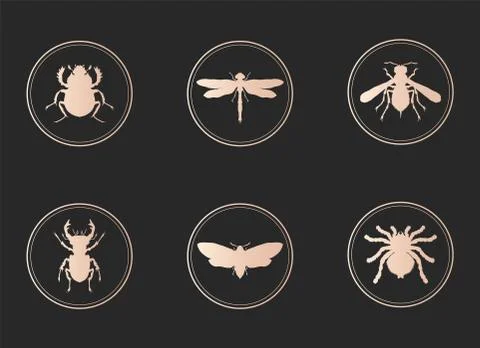 Vector set of gold icons with insects on black background. Illustrazione stock