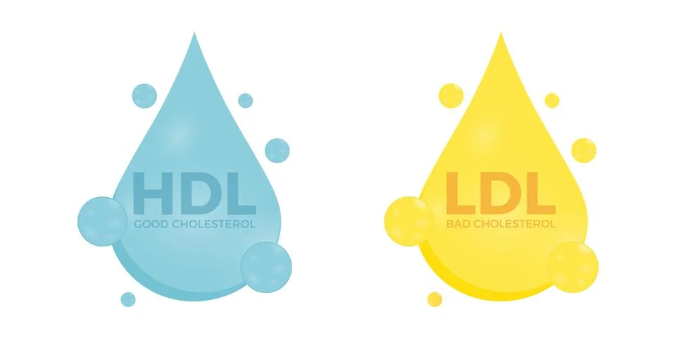 Vector set of good HDL and bad LDL cholesterol. High-density and low-density Stock Illustration