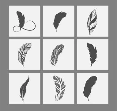 Vector set of gray feathers logo Stock Illustration