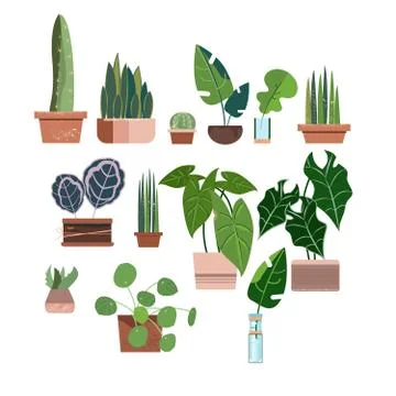 Vector set on green backdrop. Tropical jungle leaves background. Isolated symbol Stock Illustration