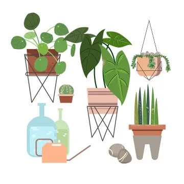 Vector set on green backdrop. Tropical jungle leaves background. Isolated symbol Stock Illustration