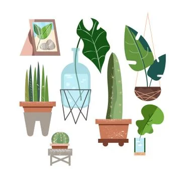 Vector set on green backdrop. Tropical jungle leaves background. Isolated symbol Stock Illustration