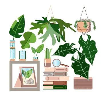 Vector set on green backdrop. Tropical jungle leaves background. Isolated symbol Stock Illustration