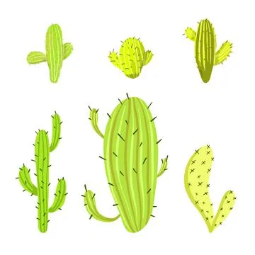Vector set of green cactus plants. Isolated elements for design. Stock Illustration