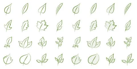  Vector set of green leaves in doodle style on a white background. Nature,... Stock Photos