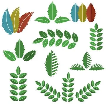 Vector Set of Green Leaves Vector Set of Green Leaves Isolated on White Ba... Foto stock