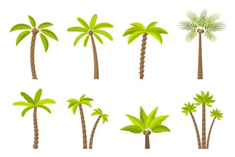 Vector set of green simple trees. Stock Illustration