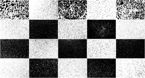 Vector Set Grunge Design Elements. 스톡 일러스트