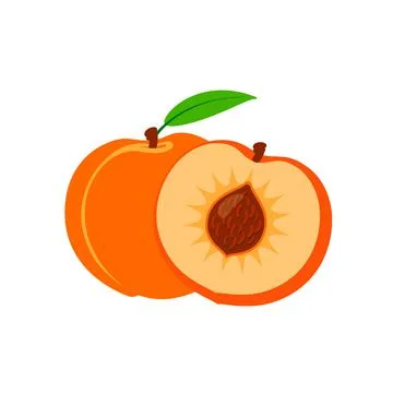 Vector set of half and whole of peach. Peaches isolated on white background. Illustrazione stock