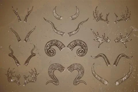 Vector set of hand drawn animals horns with grunge elements on vintage backgr Illustrazione stock