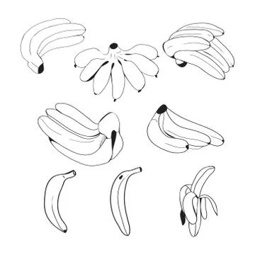 Vector Set of hand drawn bananas Stock Illustration