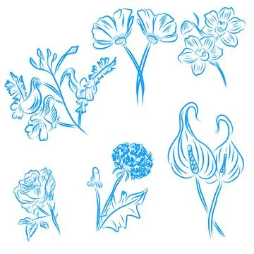 Vector set of hand drawn beautiful flowers, blue line art Illustration