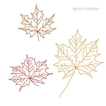 Vector set of hand drawn fall leave of maple in graphics Illustrazione stock