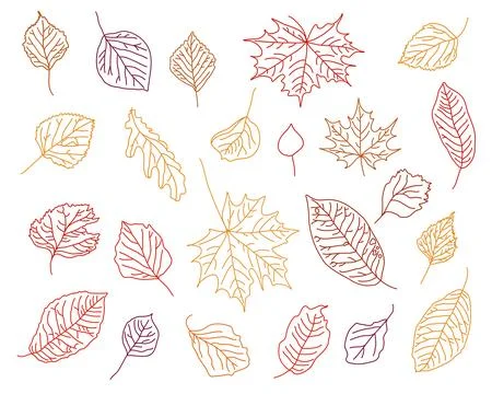 Vector set of hand drawn fall leaves, black outline of maple, birch, oak, aspen Stock Illustration