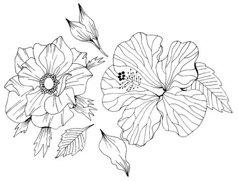 Vector set of hand drawn flowers and leaves Stock Illustration