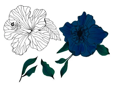 Vector set of hand drawn flowers and leaves Stock Illustration