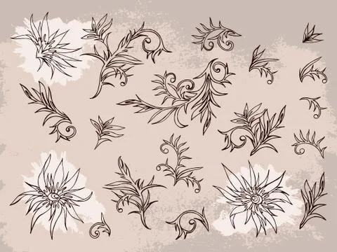 Vector set of hand drawn flowers, branches and leaves with textured watercolo Stock Illustration