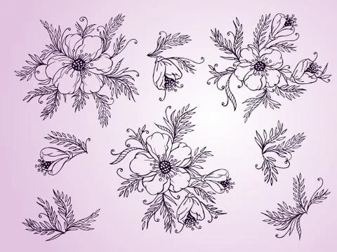 Vector set of hand drawn flowers, branches and leaves. Illustrazione stock