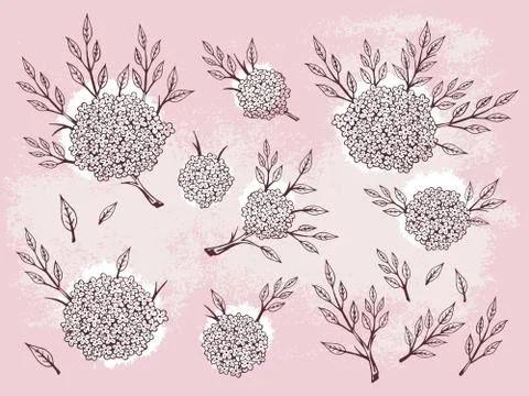 Vector set of hand drawn flowers, branches and leaves with textured watercolo Stock Illustration