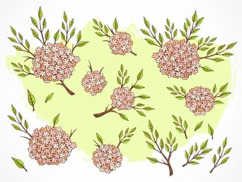Vector set of hand drawn flowers, branches and leaves with textured watercolo Stock Illustration